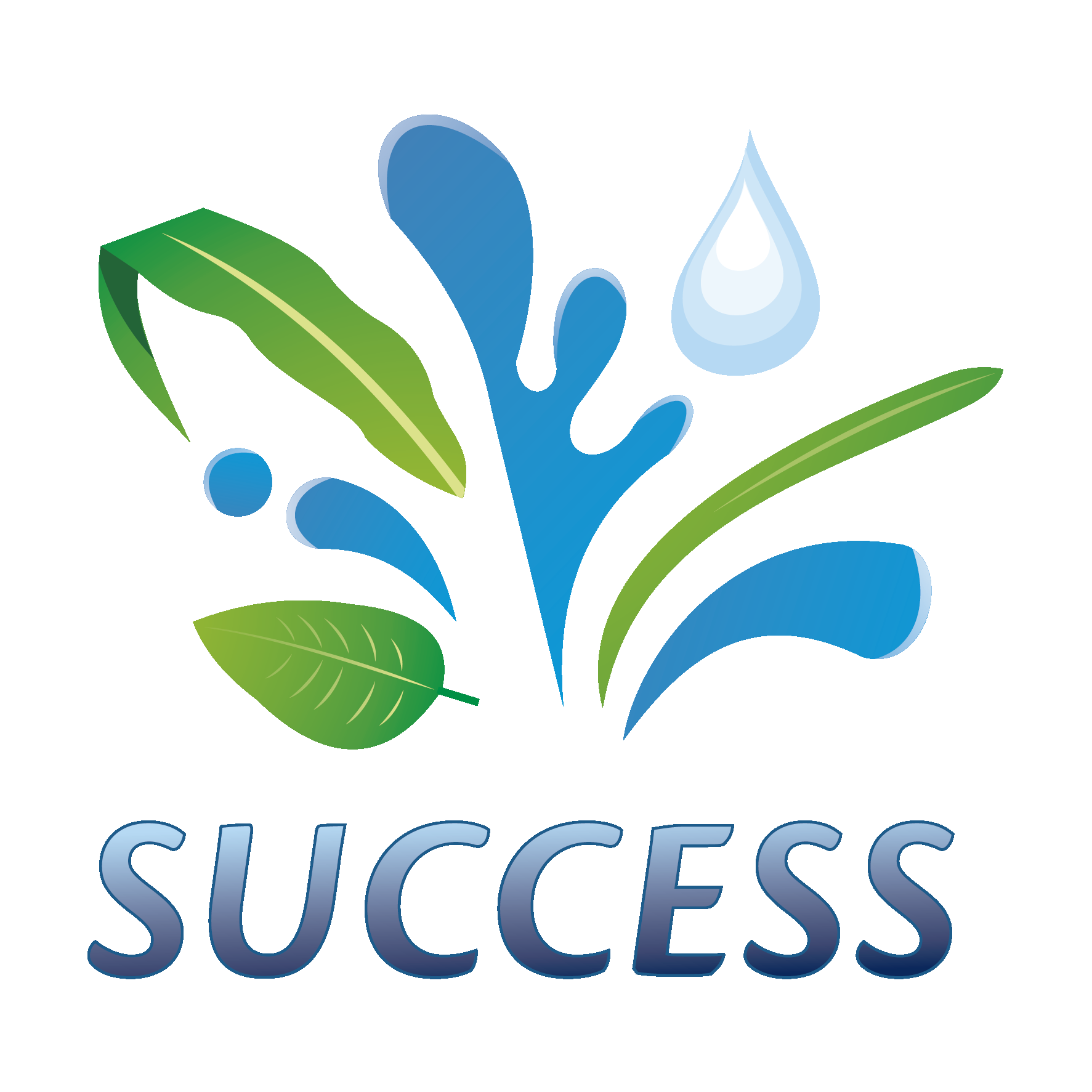 SUCCESS ®