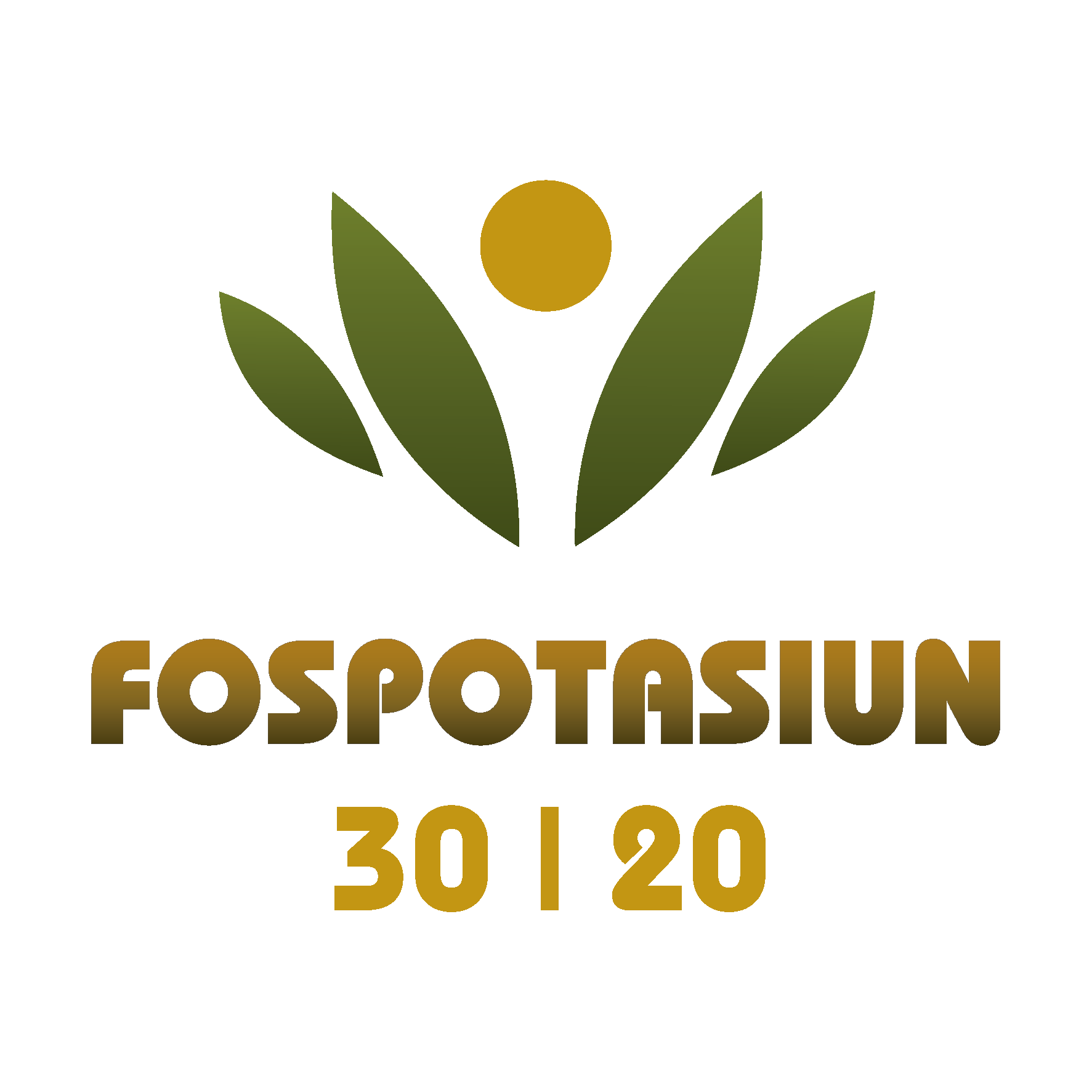 FOSPOTASION 30 20 ®